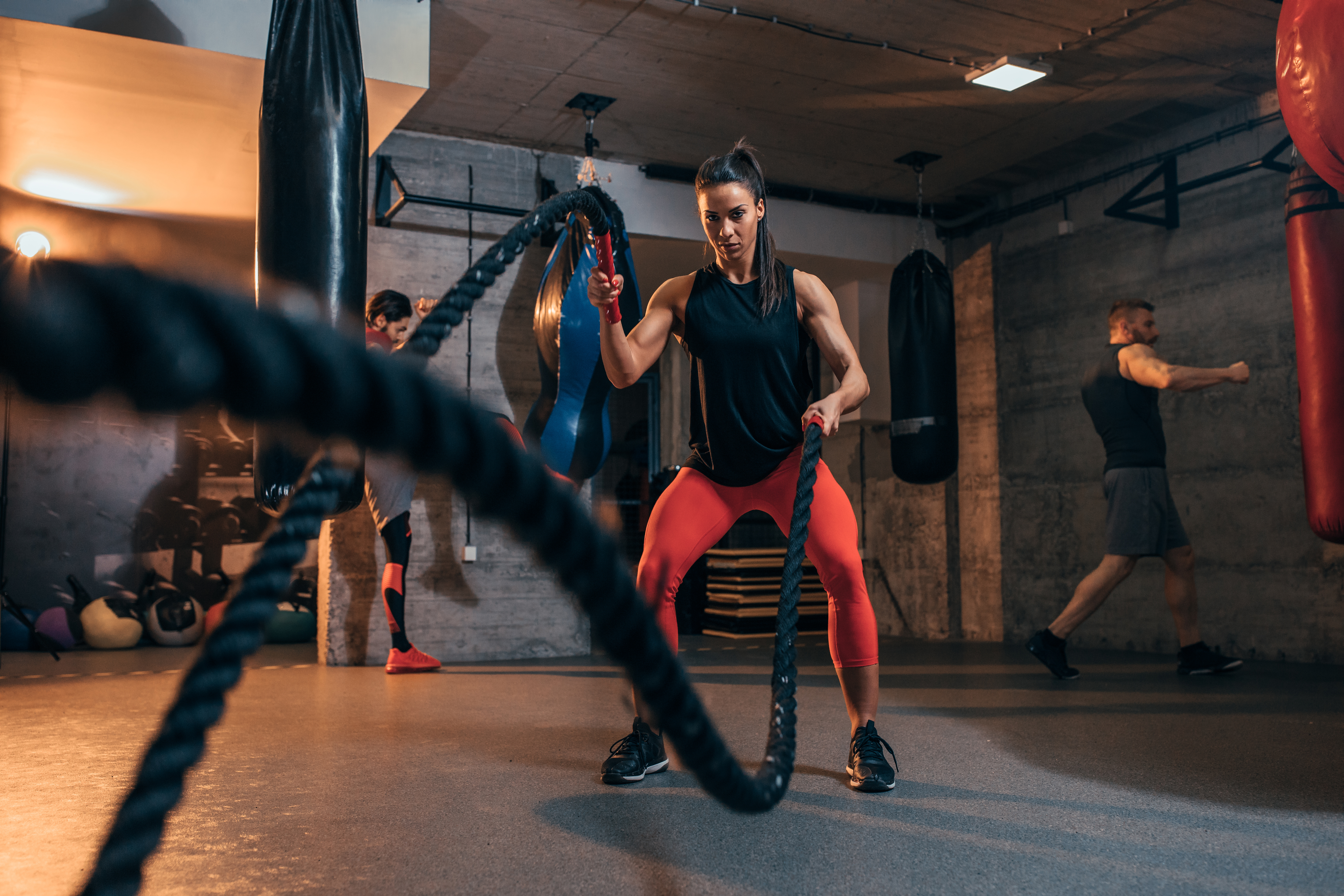 Trainingsangebote